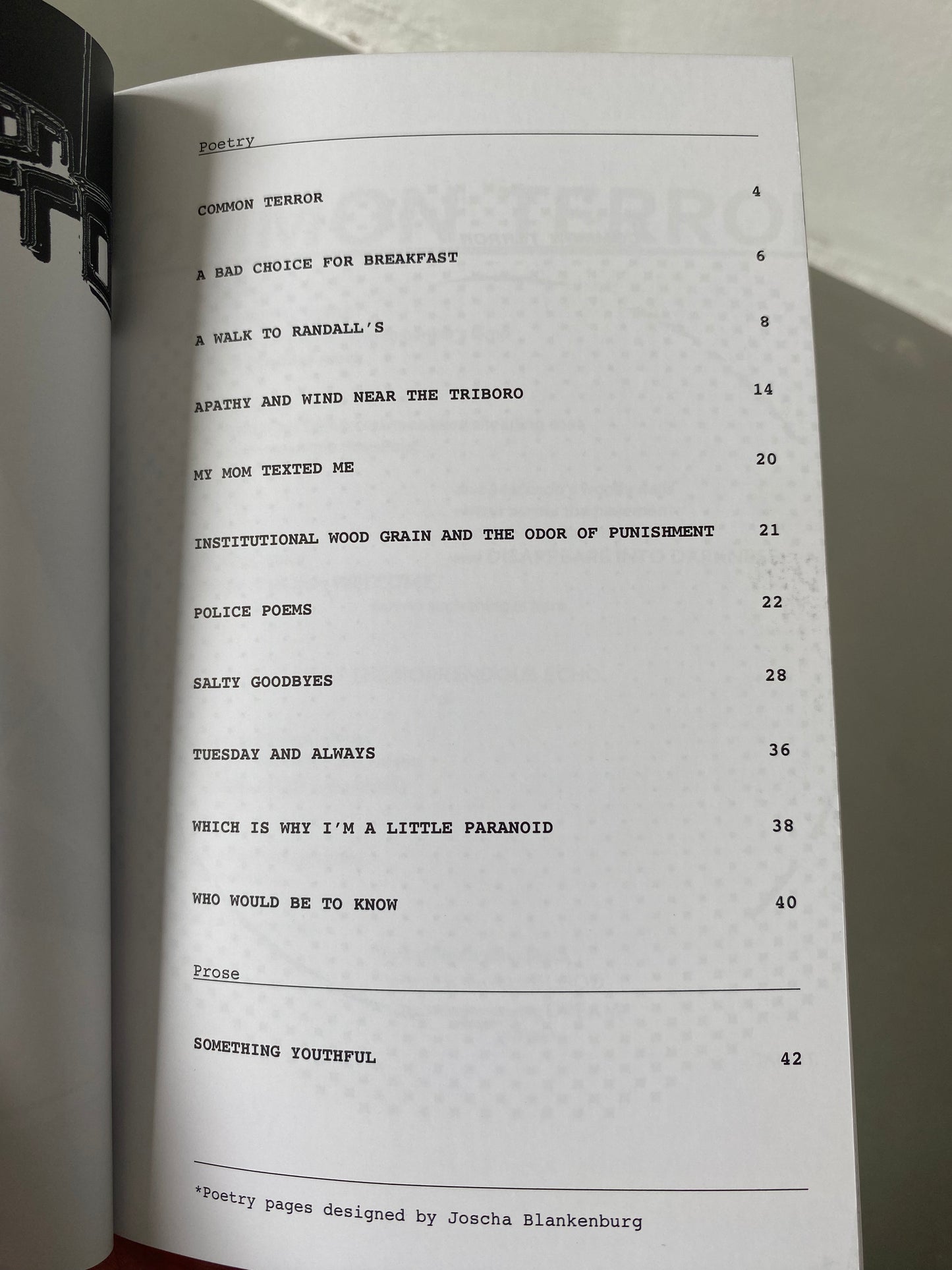"Common Terror" Zine Booklet