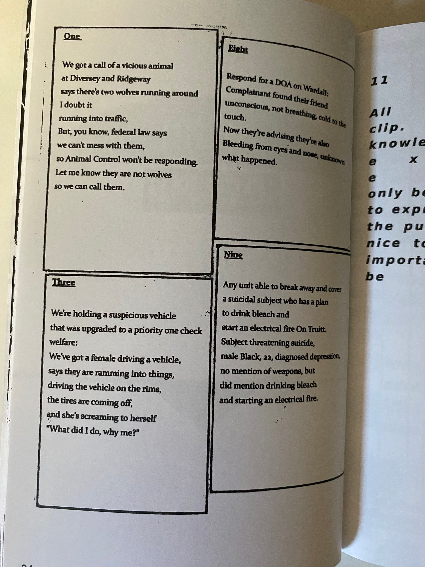 "Common Terror" Zine Booklet