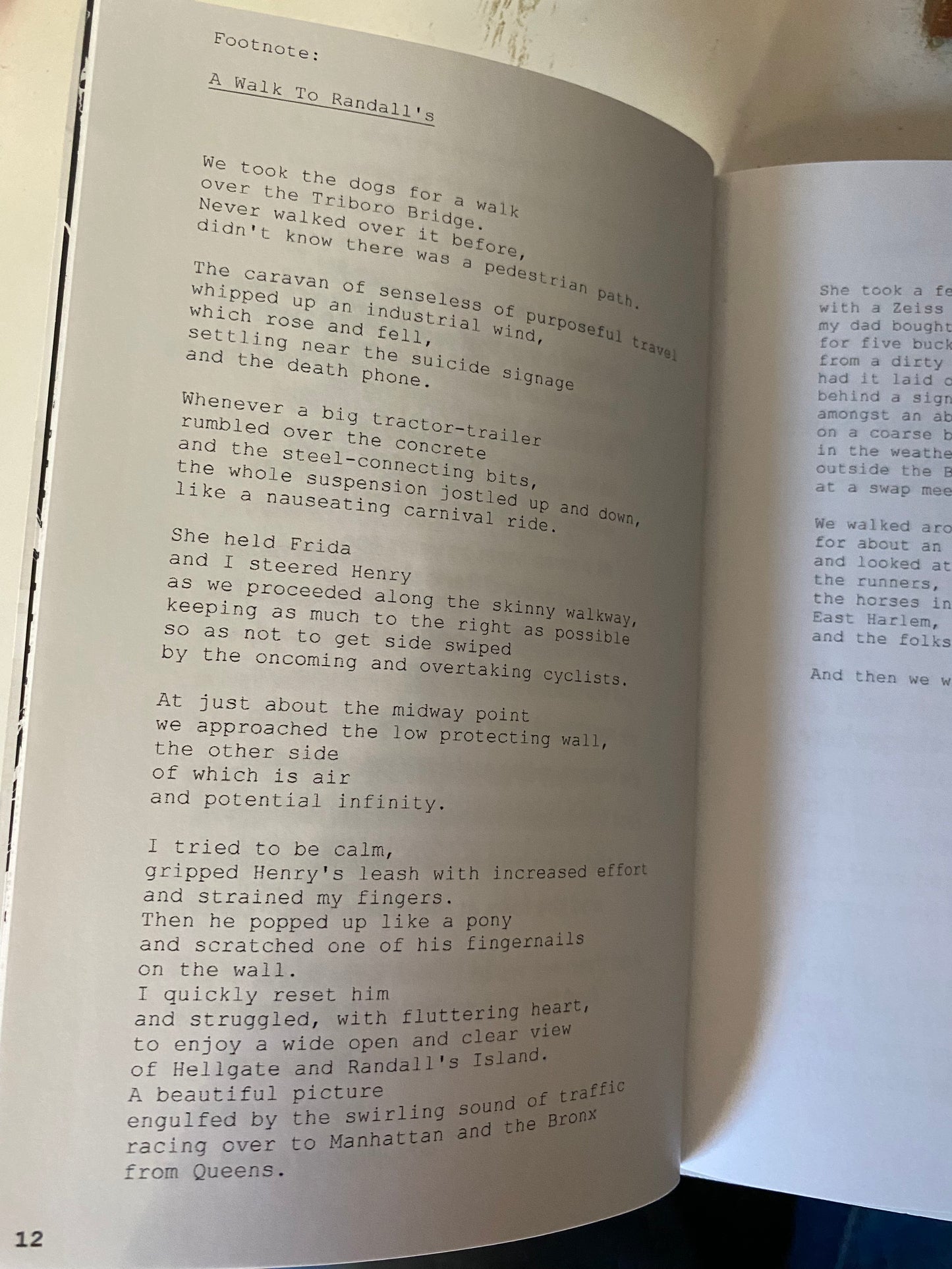 "Common Terror" Zine Booklet